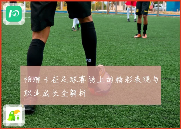 帕柳卡在足球赛场上的精彩表现与职业成长全解析