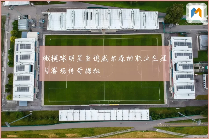 橄榄球明星查德威尔森的职业生涯与赛场传奇揭秘