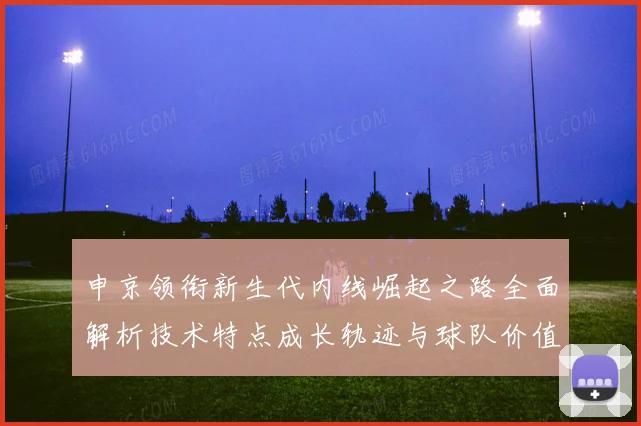 申京领衔新生代内线崛起之路全面解析技术特点成长轨迹与球队价值