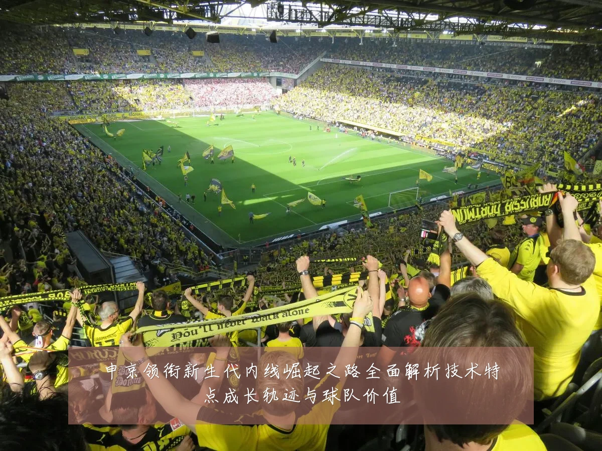 申京领衔新生代内线崛起之路全面解析技术特点成长轨迹与球队价值